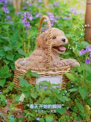 1D0905B8-E46E-4CC7-97AB-B67AD882B7EA/L0/001