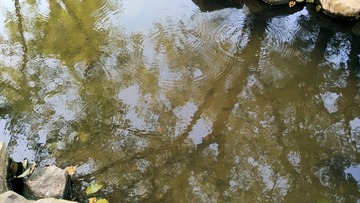 890