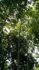 1004