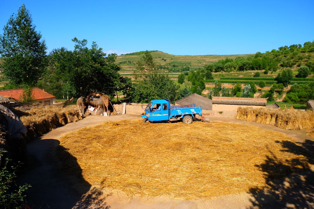火热夏日打谷场