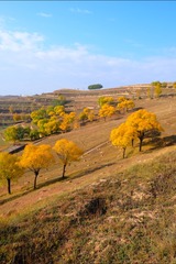D3D11750-33D5-46A1-97DA-D86D2C8FFC18/L0/001