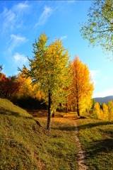 9B357031-FDE9-4D53-9A68-52492E5269C1/L0/001