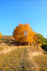 E46F88B6-1AF1-4C1E-A1C8-6C1F42FA8BA1/L0/001