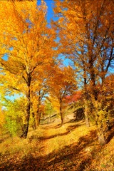950A6B9E-B0CE-4125-AB59-8AAB9B15BC17/L0/001