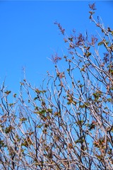 13F2B75D-00C3-4EAD-9E3E-D248C3446878/L0/001