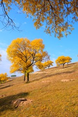 37C807DE-B3B8-42B2-A8D4-2D41C6F7BDDA/L0/001