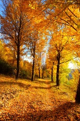 C5B6C023-3B33-414B-9F30-C683FEBFE3B1/L0/001