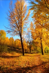 F5E88CA5-3D07-4C31-BA1E-DD2AB75CF12B/L0/001