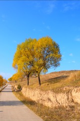 B37CF4C4-4072-4B16-A03B-D81763BF4CEA/L0/001