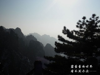 雾海