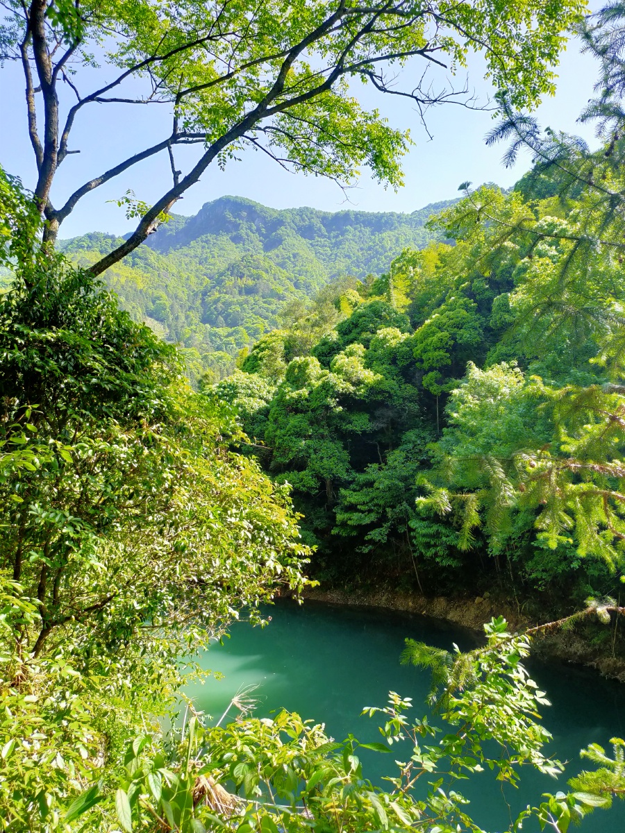 《山涧》 - 乔元 - 图虫