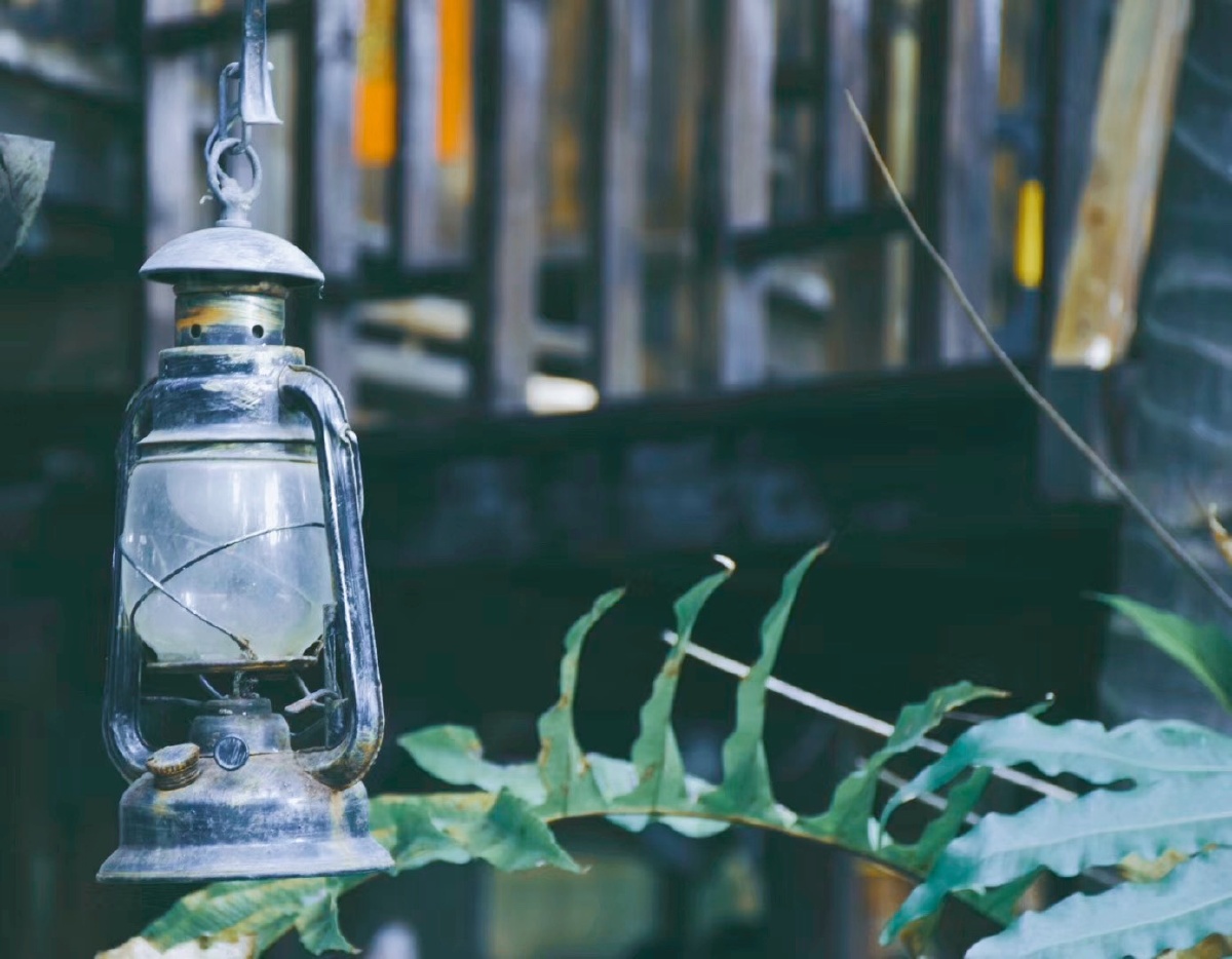 旧盏的老残灯也栩栩生辉