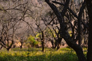 DSC_3362_