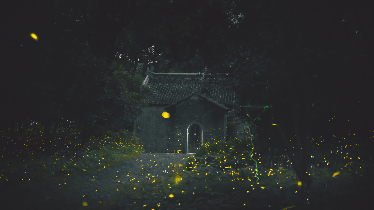 萤火之光,亦能与皓月争