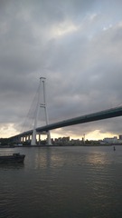 2523081