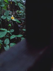 2832647