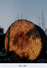 2830207