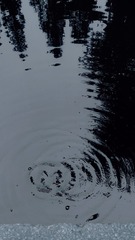 2834952