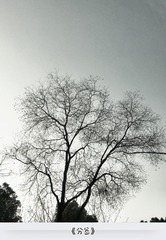 2830208