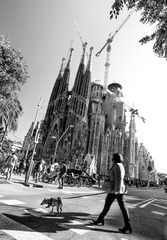 DSC_1299-2