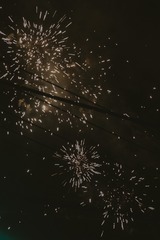 0E36064F-B3B3-4A07-88CC-4678E7A594A9/L0/001