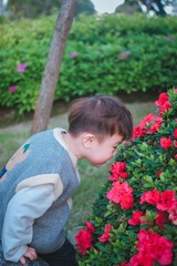 D4077D3F-869F-408F-9504-8BFC0D4288C1/L0/001