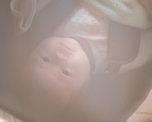 076983EE-F6BB-49FA-803F-EB7C9EF2D260/L0/001