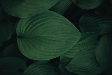 230315