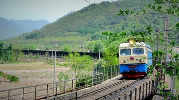 53431