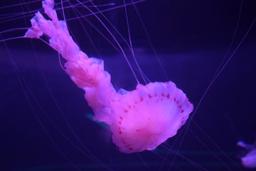 19056