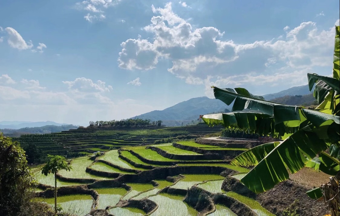 人与自然和谐相处梯田映辉