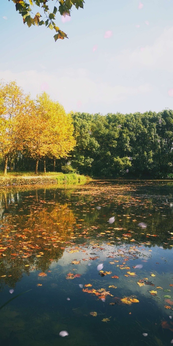 热爱生活,让生活充满快了04 - 摄影师洗白白 - 图虫