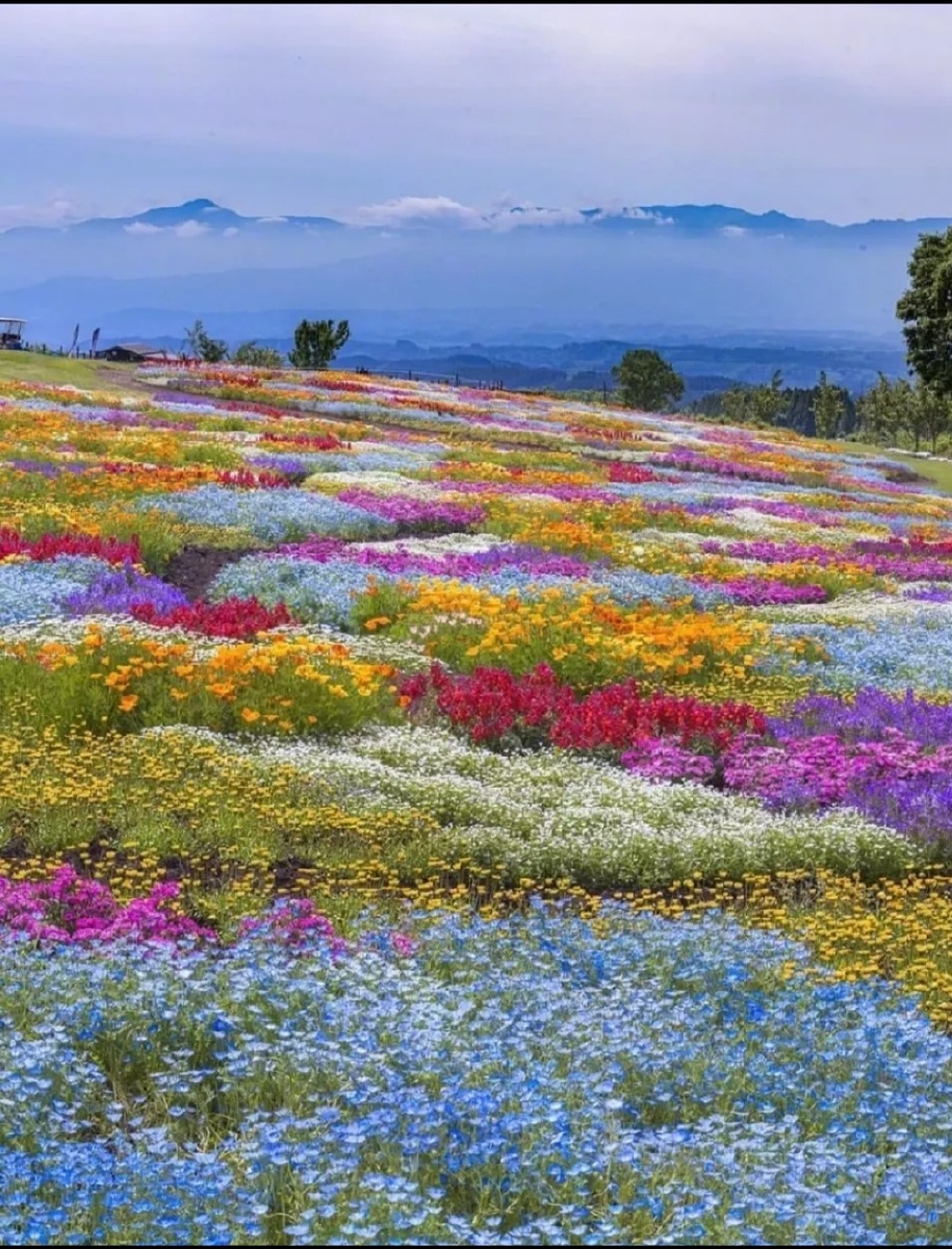 摄影师洗白白 - 图虫