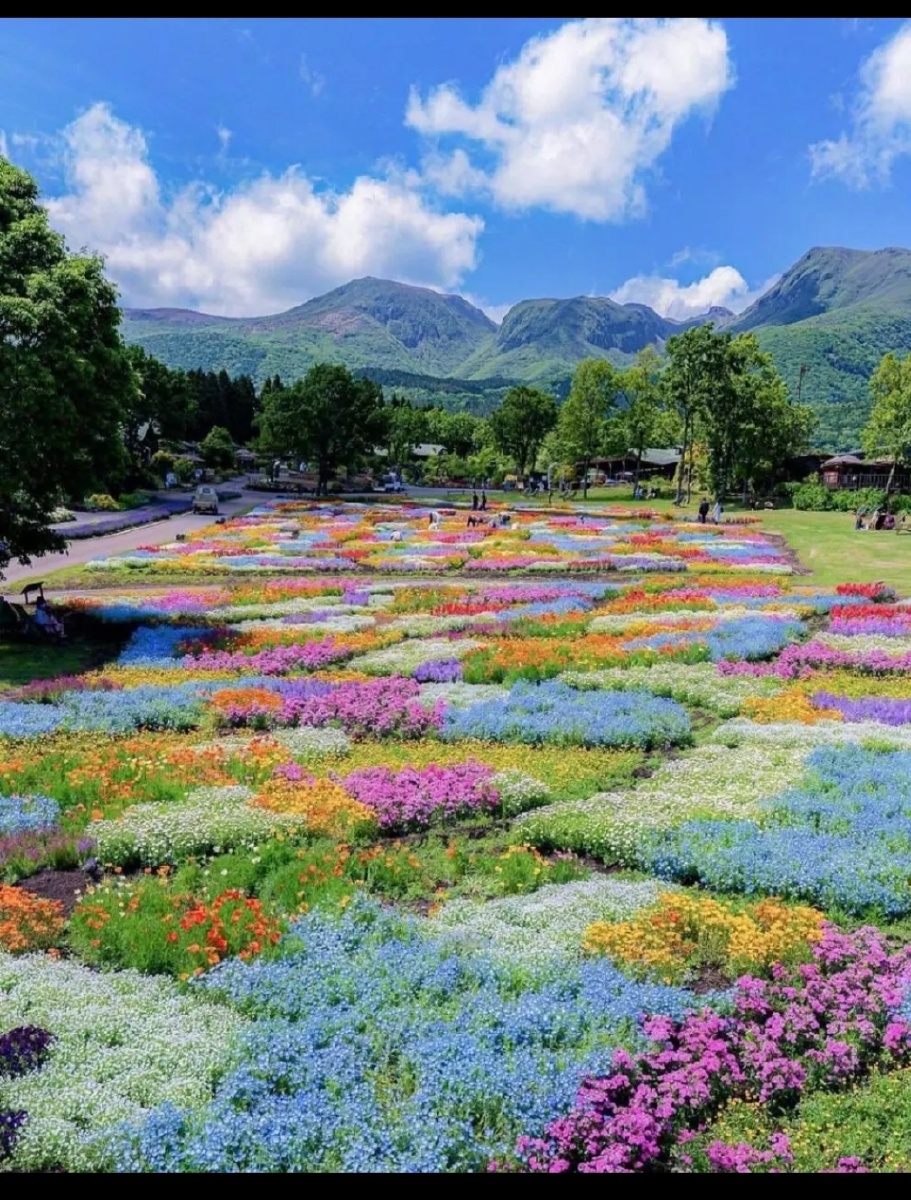 摄影师洗白白 - 图虫