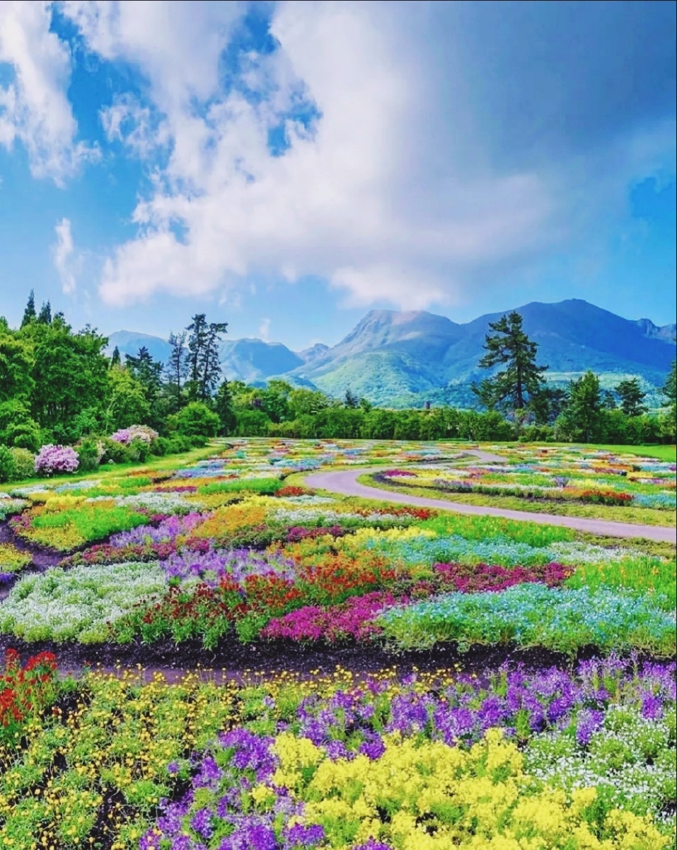 摄影师洗白白 - 图虫