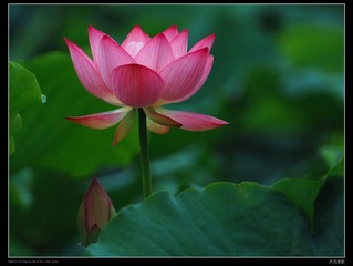 DSC_9551_resize
