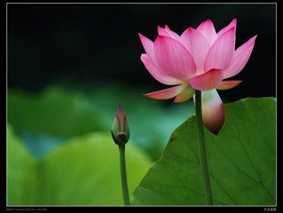 DSC_9522_resize