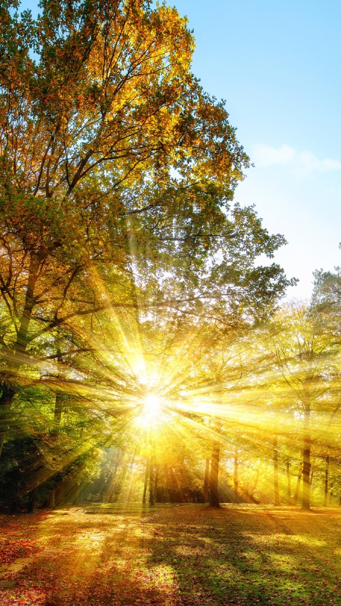 你好,第一缕晨光