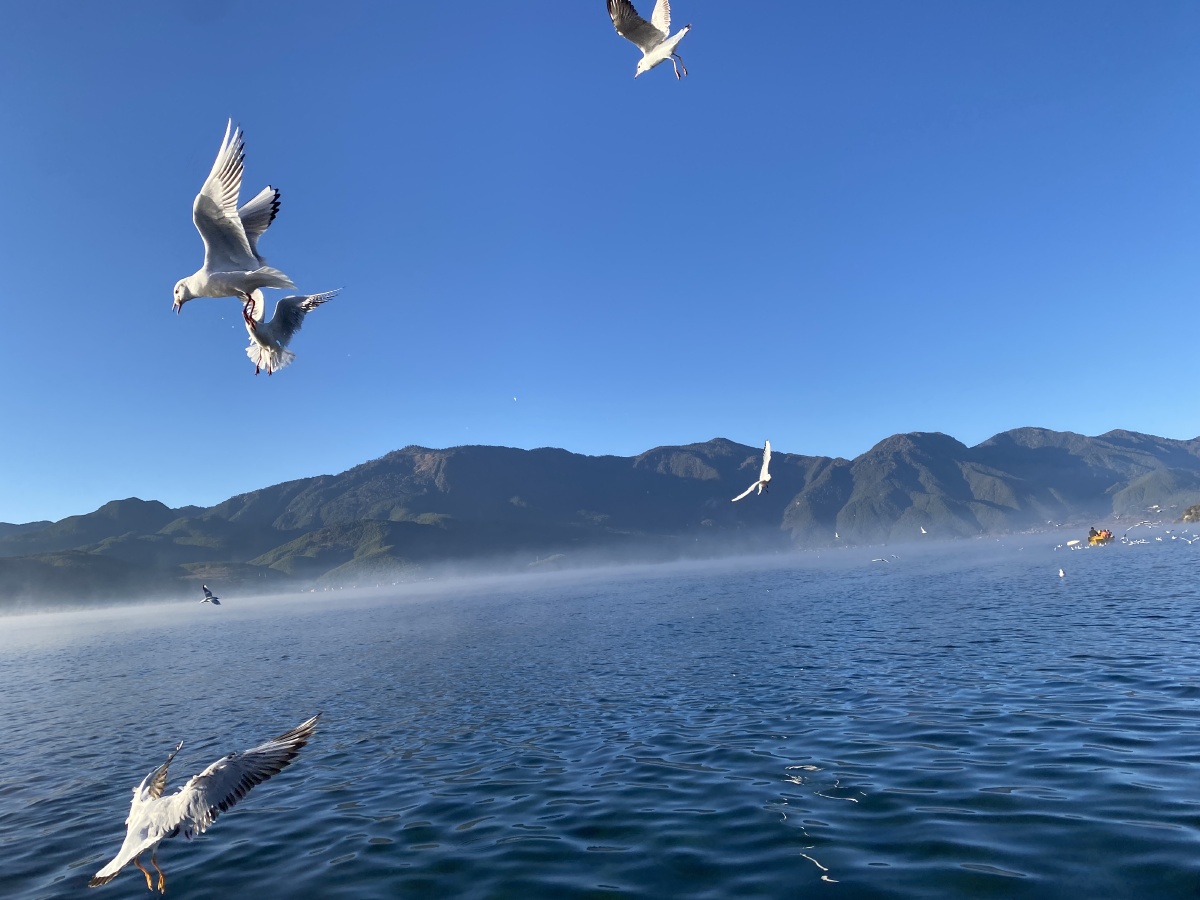 美丽的景色让人身心愉悦