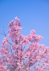 1A4F02CB-050D-4317-8598-7F328F82DDC7/L0/001