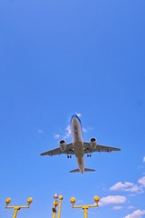 1565415