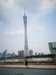 2956183