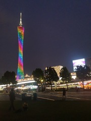 2956196