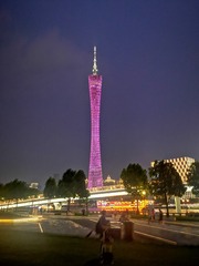 2956193