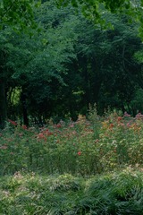 AB2BB9C9-B2BA-467B-98AD-2FF46E2B625F/L0/001
