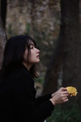528054