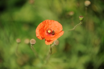 1919902