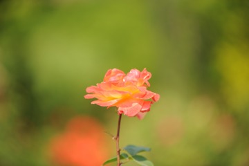 1881803