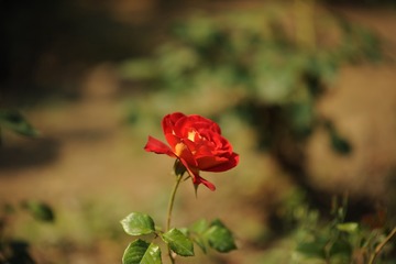 1908475