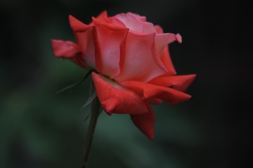 3345163
